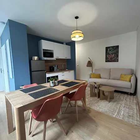 Cote Pyrenees - 9 Min Des Sanctuaires - Moderne & Equipe - Jusqu'A 4 Couchages * Lourdes