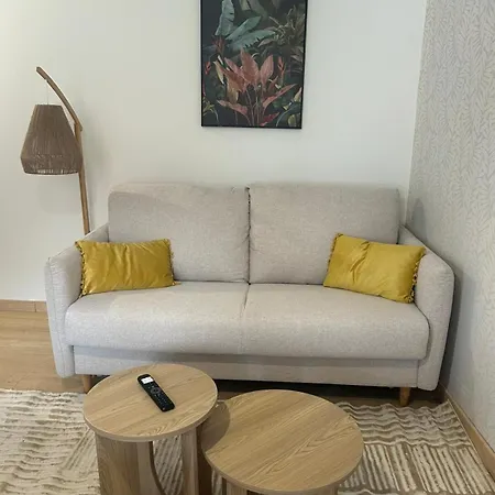 Διαμέρισμα Cote Pyrenees - 9 Min Des Sanctuaires - Moderne & Equipe - Jusqu'A 4 Couchages Λούρδη