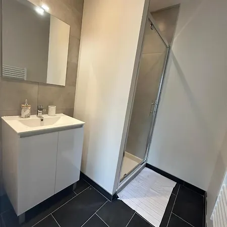 Cote Pyrenees - 9 Min Des Sanctuaires - Moderne & Equipe - Jusqu'A 4 Couchages * Lourdes